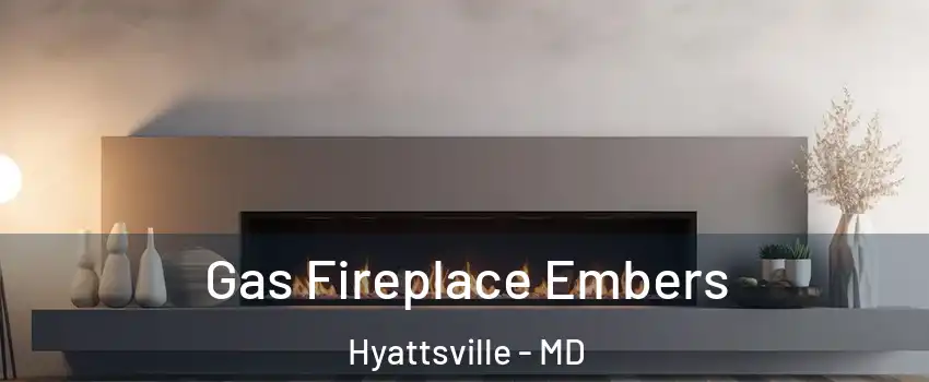  Gas Fireplace Embers Hyattsville - MD